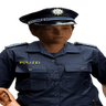 TimLP148